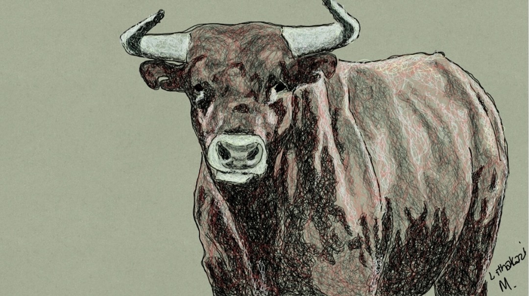 77220248_180681089753680_8090370435947954176_n